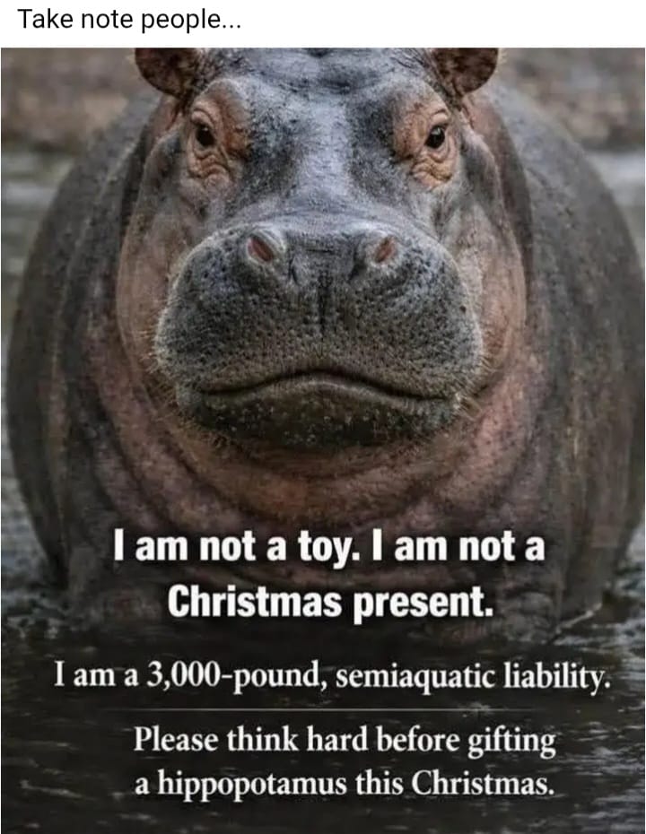Ho Ho Ho!!