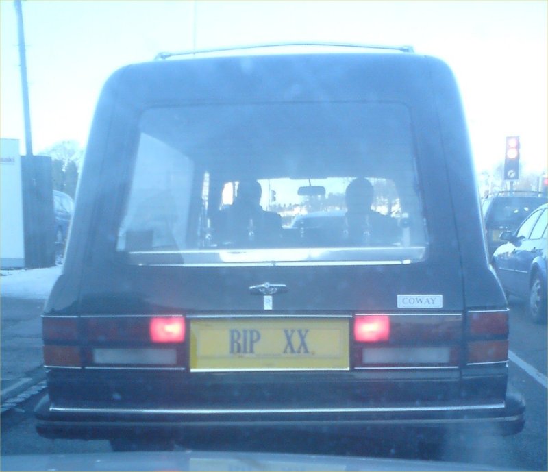 Dead Cool or what?!