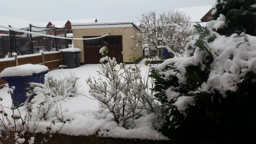 Snow on snow, snow on snow!